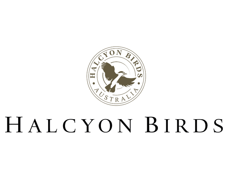 halcyon birds